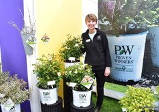 Natalie Carmollie of Proven Winners presenting Ringo, a new landscape rose. It is a hybrid of the desert rose (you can see the red eye) and a shrub rose to get the better habit. Color goes from bright yellow to white. It already won 6 awards and is hardy to zone 4 up to 8. According to Natalie, it is super easy for the consumer to grow. “They need to feel a winner”, she laughs.